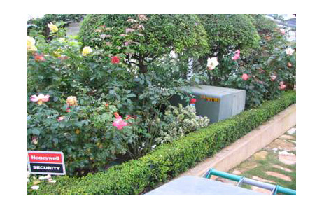 Landscaping prevents safe access to transformer