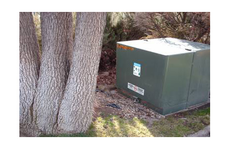 Tree shown in safe working space for transformer